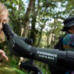 San Jose Walking Nature Tour: Sloths, Birds and Trees - Practical Details and Tips