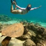 San Juan Guided Snorkel With Turtles Tour and Videos - Who This Tour Is Perfect For