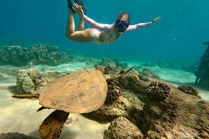 San Juan Guided Snorkel With Turtles Tour and Videos - Who This Tour Is Perfect For