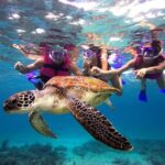 San Juan Guided Snorkeling Experience - With Transport 8am or 3pm - A Deep Dive into the Snorkeling Tour Experience