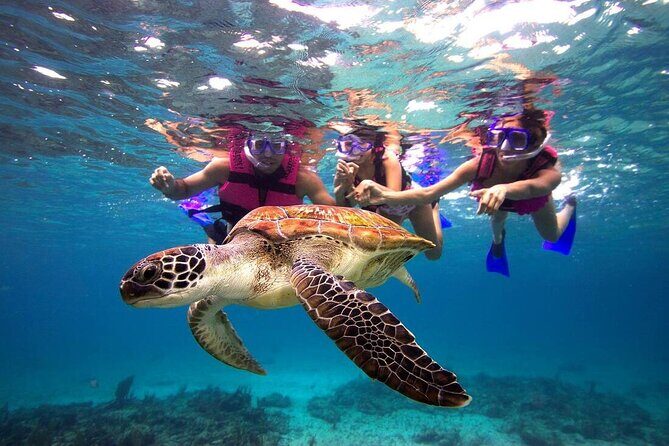 San Juan Guided Snorkeling Experience - With Transport 8am or 3pm - A Deep Dive into the Snorkeling Tour Experience