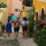 San Juan Highlights Private Guided Tour - Who Would Enjoy This Tour?