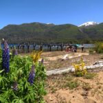 San Martín de los Andes por 7 Lagos - A Deep Dive into the Seven Lakes Route Experience