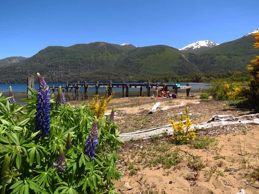 San Martín de los Andes por 7 Lagos - A Deep Dive into the Seven Lakes Route Experience