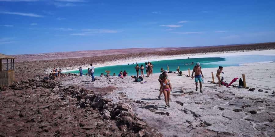 San Pedro Atacama: Baltinache Lagoons and Magic Bus Tour - Final Thoughts: Is It Worth It?