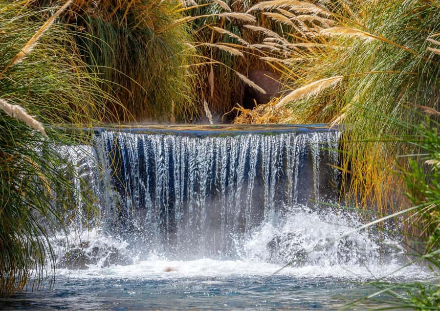 San Pedro de Atacama: 7 Days Adventure Program - Practical Details and Value