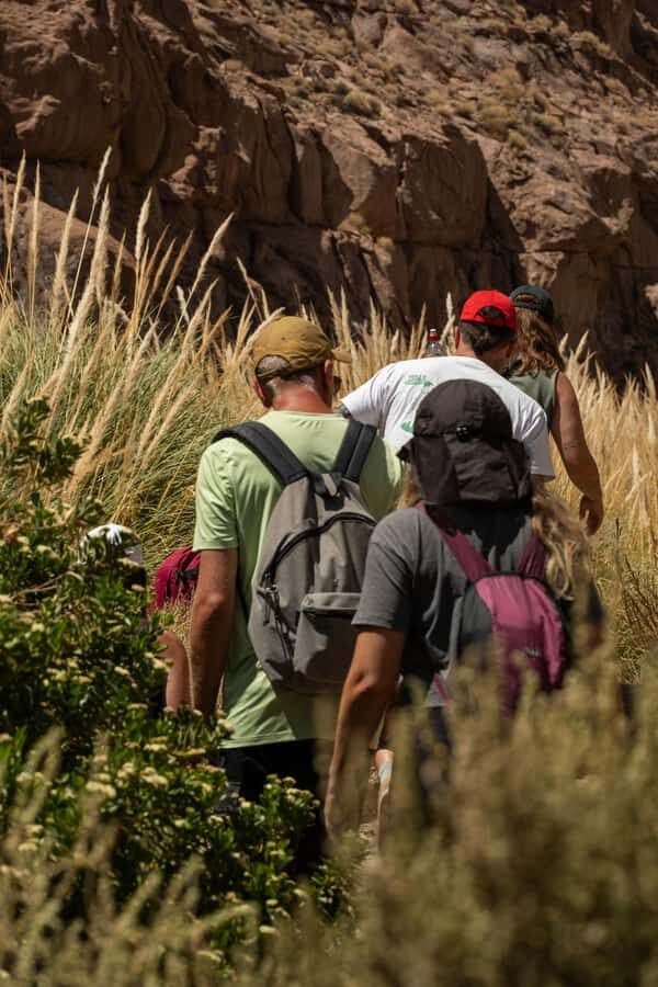 San Pedro de Atacama: Canyon Swimming Pools Trekking Trip - Practical Details and Considerations