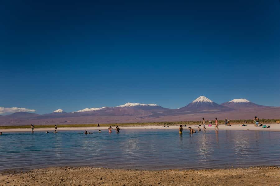 San Pedro de Atacama: Cejar Lagoon, Tebenquiche & Ojos Salar - A Detailed Look at the Tour Experience