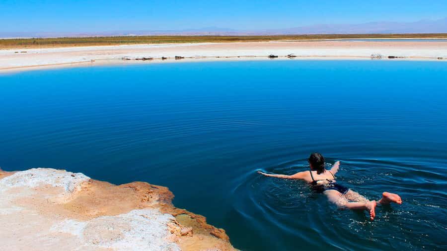 San Pedro de Atacama: Cejar Lagoon - A Deep Dive into the Experience