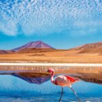 San Pedro de Atacama: Guided tour to the Salt Mountain Range - An In-Depth Look at the Salt Mountain Range Tour