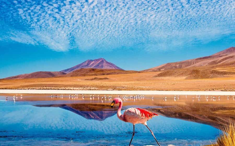 San Pedro de Atacama: Guided tour to the Salt Mountain Range - An In-Depth Look at the Salt Mountain Range Tour
