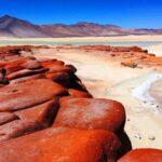 San Pedro de Atacama: Piedras Rojas, Salar de Atacama, Lakes - What We Think: The Value and Experience