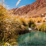 SAN PEDRO DE ATACAMA: PURITAMA HOT SPRINGS WITH ENTRANCE FEE - How the Tour Fits Into Your Itinerary