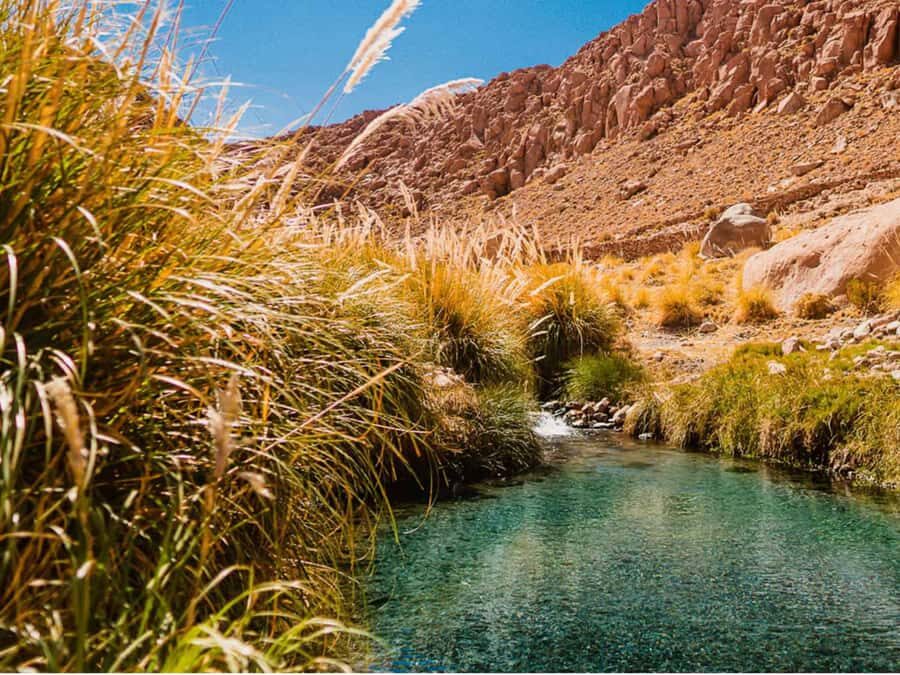 SAN PEDRO DE ATACAMA: PURITAMA HOT SPRINGS WITH ENTRANCE FEE - How the Tour Fits Into Your Itinerary