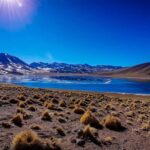 San Pedro de Atacama: Tatio Geysers Tour - Why This Tour Stands Out
