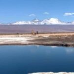 San Pedro de Atacama: Tour of Salar de Atacama Lagoons - A Deep Dive into the Salar de Atacama Lagoons Tour