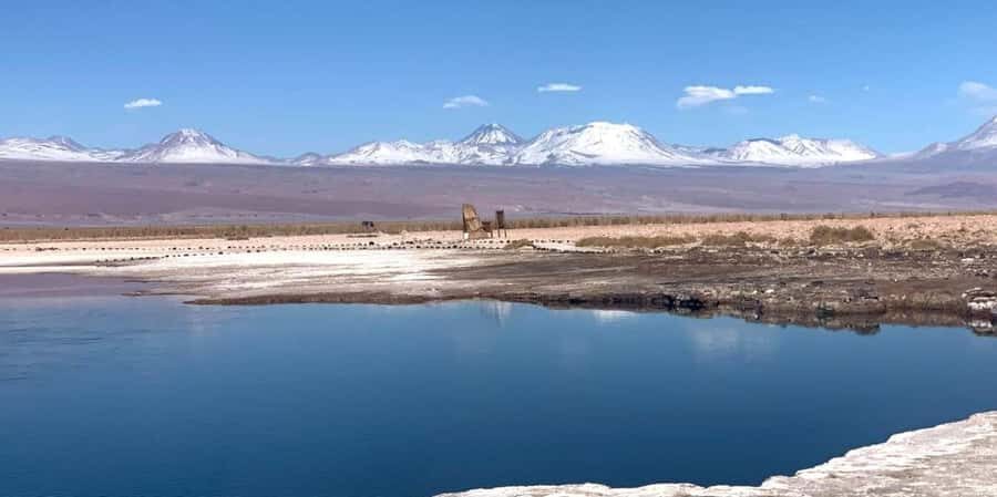 San Pedro de Atacama: Tour of Salar de Atacama Lagoons - A Deep Dive into the Salar de Atacama Lagoons Tour