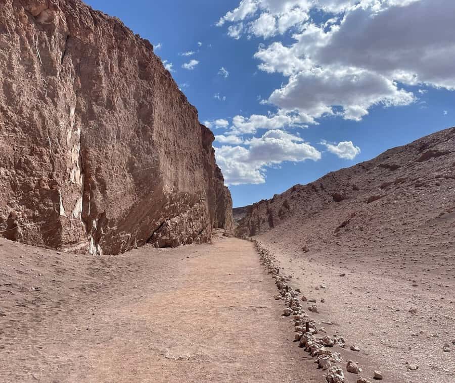 San Pedro de Atacama: Valle de la Luna & Cocktail Experience - The Value of This Tour