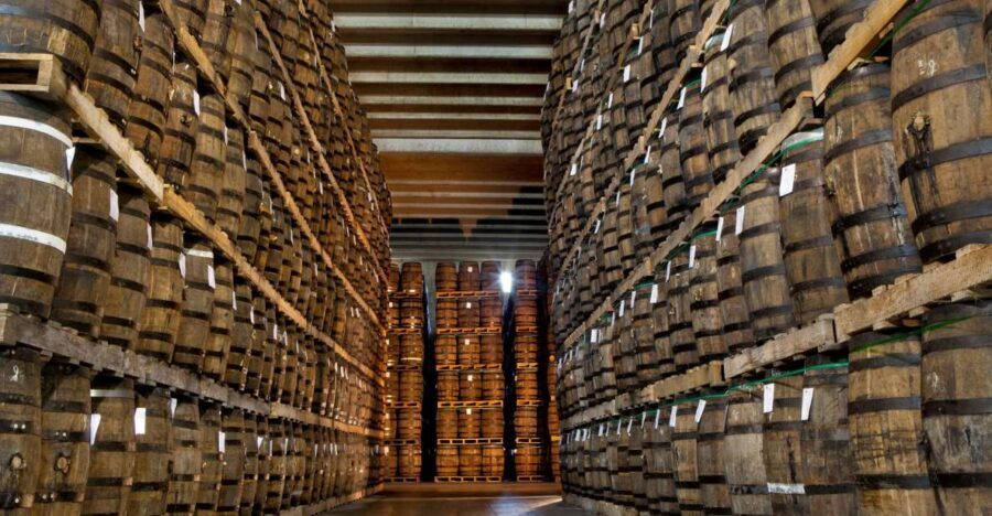 San Pedro De Macoris: Ron Barcerló Rum Factory Tour - The Guide and Group Dynamics