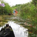 Sandboard Experience by Adrenailha - Final Thoughts: Is This Tour Worth It?