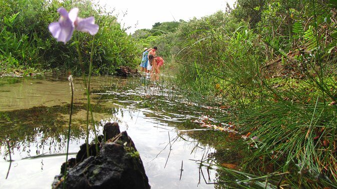 Sandboard Experience by Adrenailha - Final Thoughts: Is This Tour Worth It?