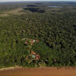 Sandoval lake 3 Days / 2 Nights - Day 1: Introduction to the Amazon