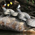 Sandoval Lake Full Day - Why This Tour Offers Real Value