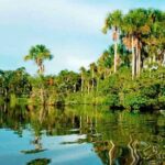 Sandoval lake full day - Final Thoughts