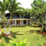 Sangster International Airport to Negril Tree House Resort - Who Should Consider This Transfer?