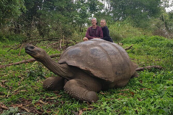 Santa Cruz Highland Tour: Giant Tortoises, Lava Tunnel & Gemelos - Authentic Traveler Feedback