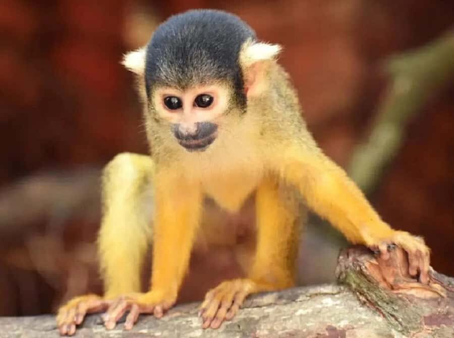 Santa Cruz: Wildlife Sanctuary and Preservation Park Tour - What We Think About the Value