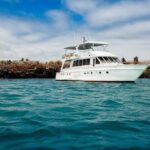 Santa Fé island on board of Sea Lion Yacht - Why Choose This Tour?