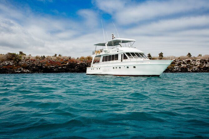 Santa Fé island on board of Sea Lion Yacht - Why Choose This Tour?