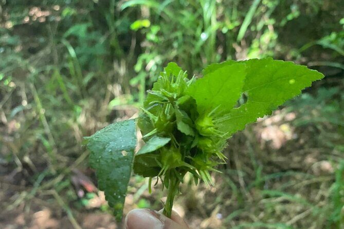 Santa Maria Beach Hike - Detailed Breakdown of the Itinerary