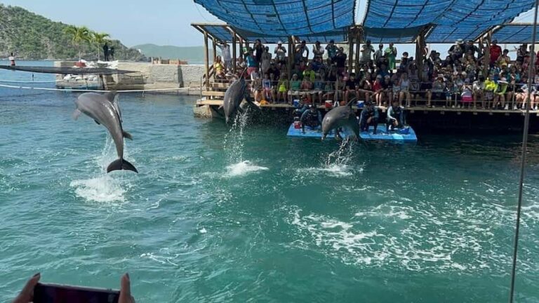 SANTA MARTA: AQUARIUM BAY TOUR AND KATAMARAN BOAT TOUR - Navigating the Details