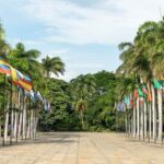 Santa Marta City Tour - Analyzing the Value and Experience