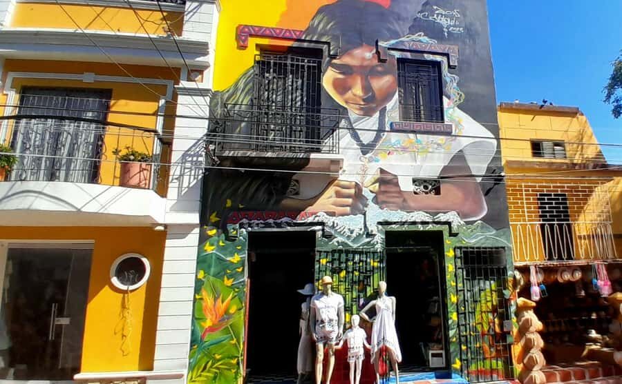 Santa Marta Graffiti Tour: Urban Art & Culture - A Closer Look at Santa Marta Graffiti & Urban Art Tour