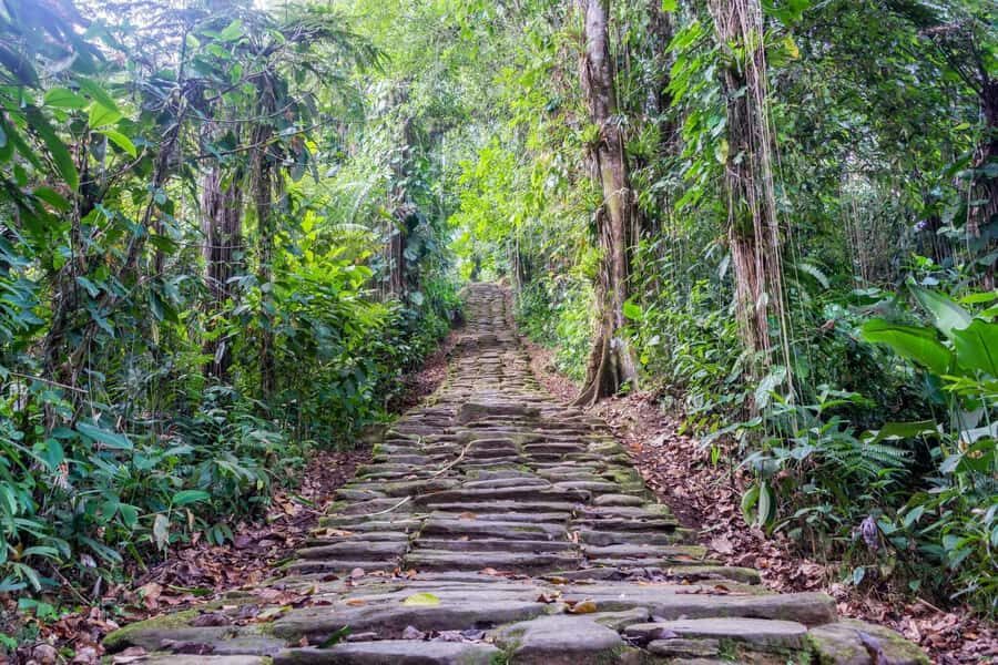 Santa Marta: Multi-Day Trek to The Lost City - Authentic Guides Make the Difference