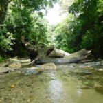 Santa Marta: San Isidro de La Sierra Waterfall Day Tour - What’s Included and What to Keep in Mind