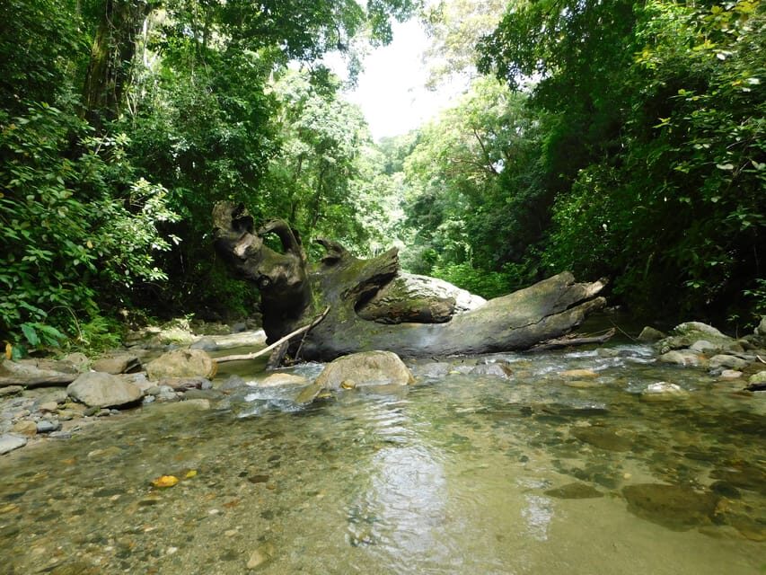 Santa Marta: San Isidro de La Sierra Waterfall Day Tour - What’s Included and What to Keep in Mind
