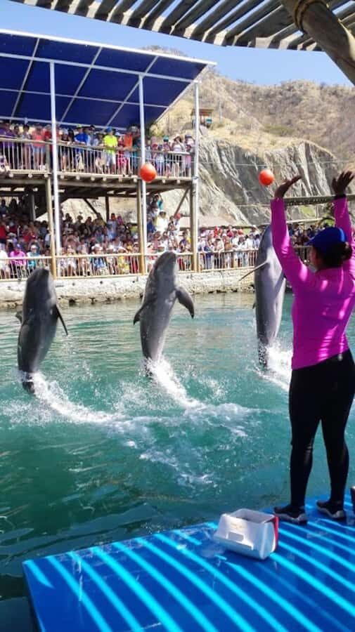 SANTA MARTA: Tour with Entrance to the Aquarium and Transfer to Playa Blanca! - Exploring Santa Marta’s Marine and Beach Gems