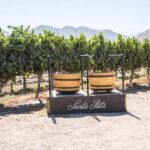 Santa Rita: Tour + Premium Wine Tasting + Private Transport - The Experience in Detail