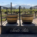Santa Rita Vineyard Tour: History, Wine, and Outdoor Picnic - An In-Depth Look at the Santa Rita Vineyard Tour