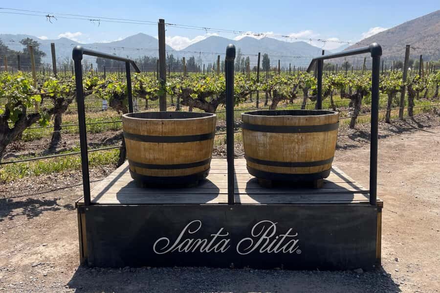 Santa Rita Vineyard Tour: History, Wine, and Outdoor Picnic - An In-Depth Look at the Santa Rita Vineyard Tour