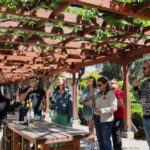 Santa Rita Vineyard Tour with Lunch, an Unforgettable Day! - In-Depth Review: Santa Rita Vineyard Tour with Lunch