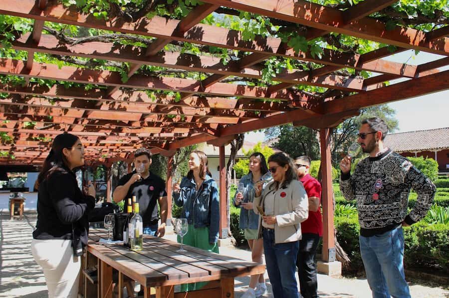 Santa Rita Vineyard Tour with Lunch, an Unforgettable Day! - In-Depth Review: Santa Rita Vineyard Tour with Lunch