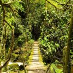 Santa Rita Waterfall and Salento Private Tour - Final Thoughts
