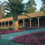 Santa Rita Winery Premium Tour - Who Will Love This Tour?