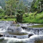 Santa Rosa de Cabal and Hot Springs Day Trip - The Value of the Experience