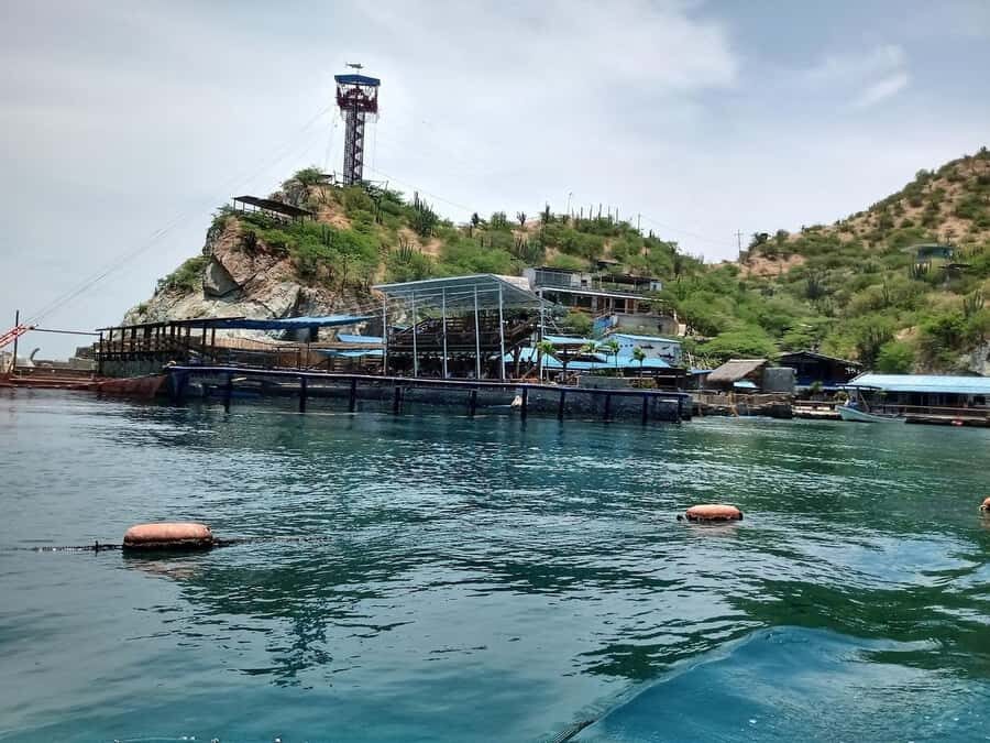 SANTAMARTA: COMBO TOUR taximarino+dolphins 5m+Aquarium+lunch+white beach - A Deep Dive into the Santa Marta Combo Tour